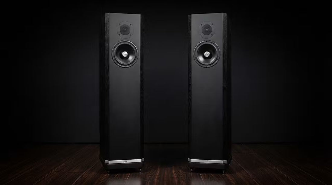 Kudos Titan 606 - Rovere nero